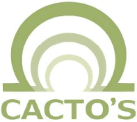 Cacto's Consultoria e Soluções em Engenharia