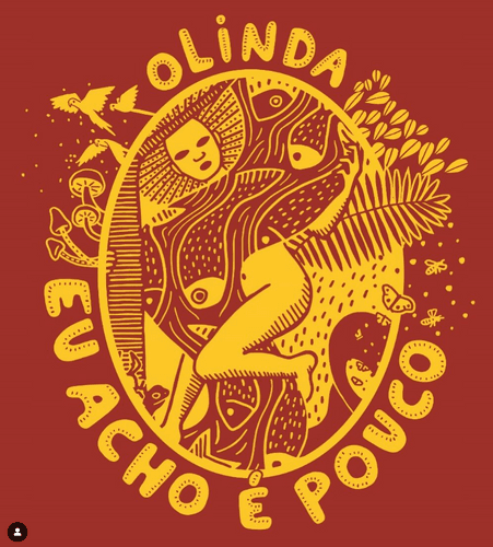 Grêmio Lítero Recreativo Cultural Misto Carnavalesco Recreativo Carnavalesco Eu Acho é Pouco